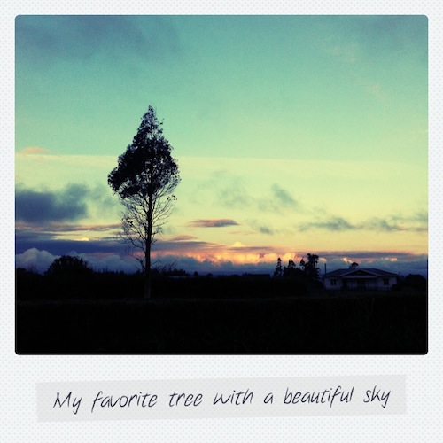 Final Polaroid Final Polaroid