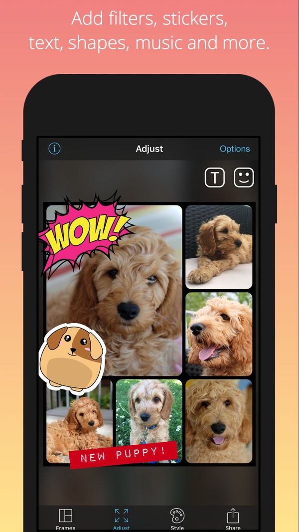 PicFrame for iOS v11